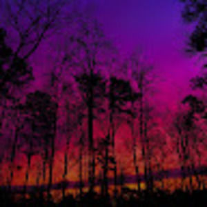 Meet your Posher, Curran